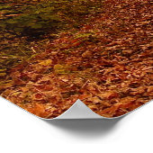 Poster schilderachtig station (Hoek)