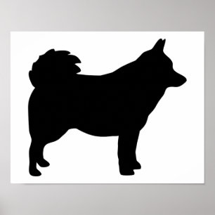 Poster Schipperke