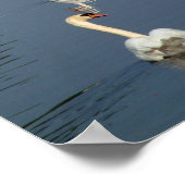 Poster Schloss Nymphenburg (Coin)