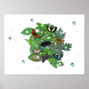 Poster Schmetterlinge mit Blätter, Regentropfen, Perlen