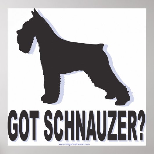Poster schnauzer (Devant)