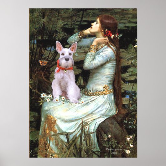 Poster Schnauzer 9 - Ophelia assise (Devant)