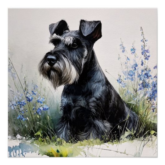 Poster Schnauzer aquarelle (Devant)