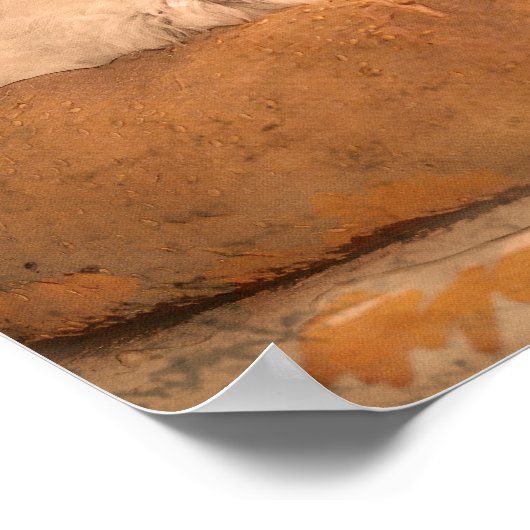 Poster Schnauzer Chefs Cuisine Imprimer (Coin)