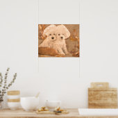 Poster Schnauzer Chefs Cuisine Imprimer (Cuisine)