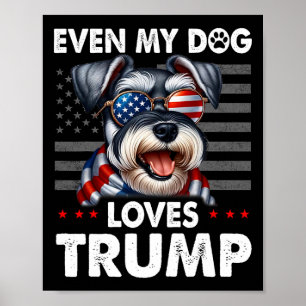Poster Schnauzer même mon chien aime Trump drôle