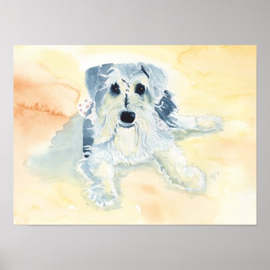 Poster Schnauzer Mia (Devant)