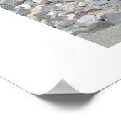 Poster Schnauzer miniature (Coin)