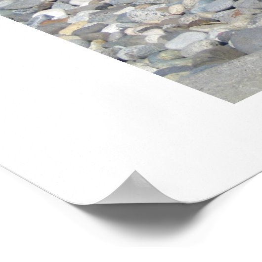 Poster Schnauzer miniature (Coin)