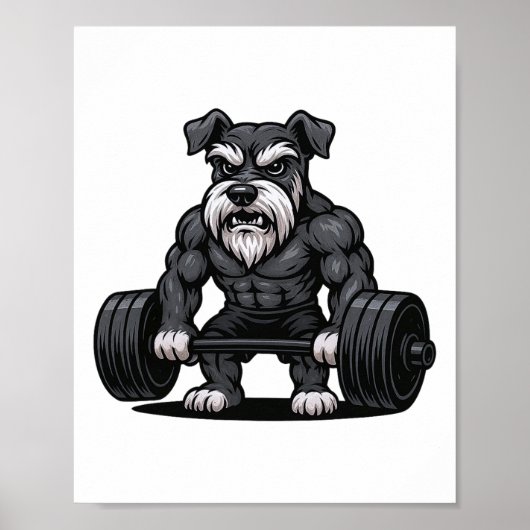Poster Schnauzer Poids Bodybuilder entraînement Gym Do (Devant)