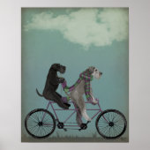 Poster Schnauzer Tandem (Devant)