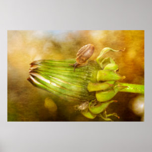 Poster Schnecke auf Löwenzahn