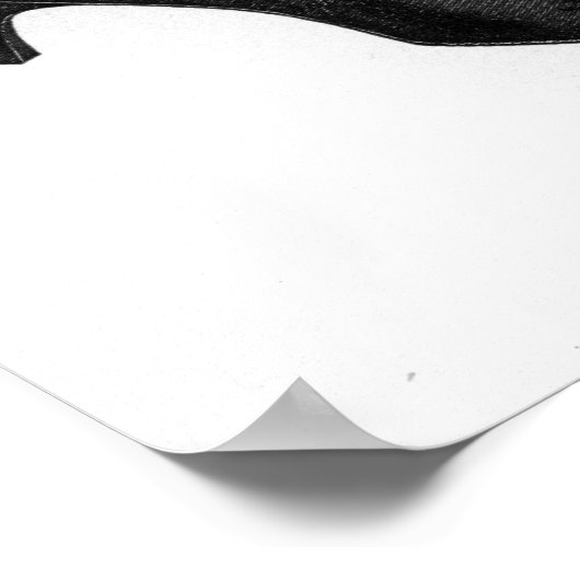 Poster  schoencatalogus (Hoek)