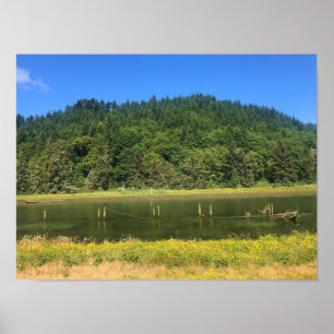 Poster Scholfield Creek, Reedsport, Oregon