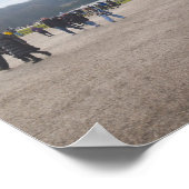 Poster Schonbrunn Place Gardens, Vienne, Autriche. (Coin)