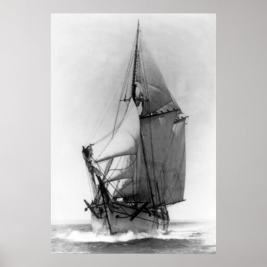 Poster Schooner EG White (Devant)