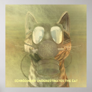 Poster Schrödinger sous-estime l'affiche de chat