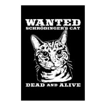 Schrodinger's cat wanted dead or alive