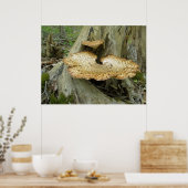 Poster Schuif Fungus op de boomstam (Keuken)