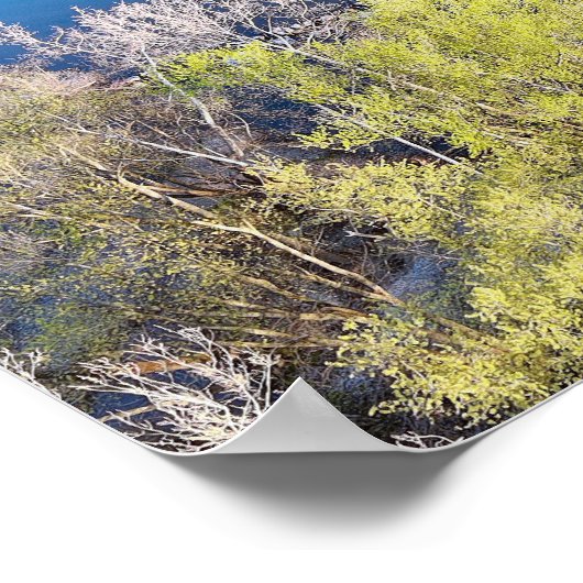 Poster Schuylkill River Dam Oaks PA (Coin)