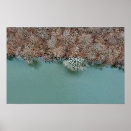 Poster Schuylkill Trees Sanatoga (Devant)