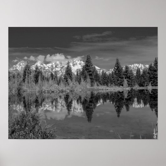 Poster Schwabacher Landing (Devant)