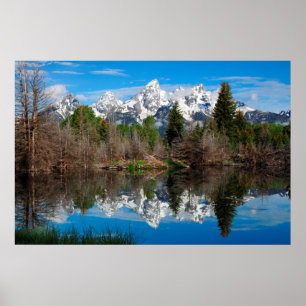 Poster Schwabacher's Landing, Grand Teton
