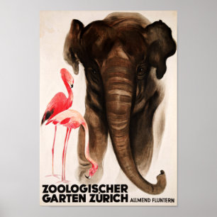 Poster " Schweiz : 1929/heute Zürich - Zoologischer Garte