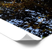 Poster Schweizer arrive à terre (Coin)