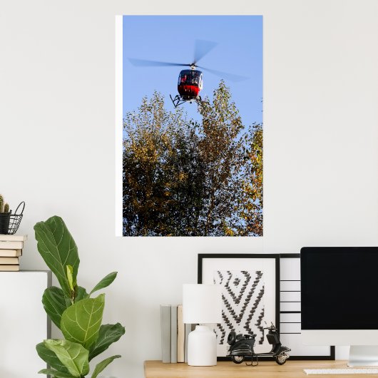 Poster Schweizer arrive à terre (Bureau à domicile)