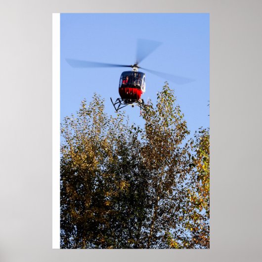 Poster Schweizer arrive à terre (Devant)