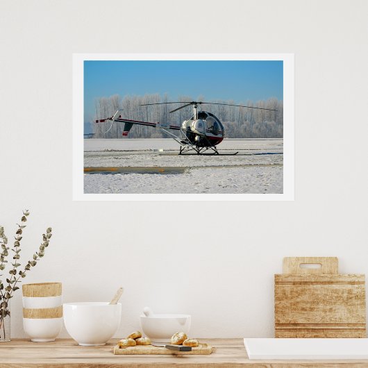 Poster Schweizer congelé 300C (Cuisine)