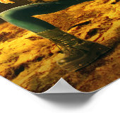 Poster Sci-Fi Female Fighter on Strange Planet (Coin)