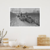 Poster Sciage de chien de bois, Alaska 1917 (Cuisine)