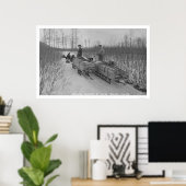 Poster Sciage de chien de bois, Alaska 1917 (Bureau à domicile)