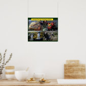 Poster Science, animaux des Galapagos (Cuisine)