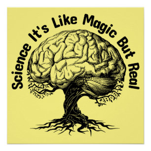 Poster science c'est comme de la magie mais vrai