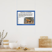 Poster Science, chaîne alimentaire, deuxième consommateur (Cuisine)