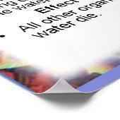 Poster Science, Chimie De l'environnement, Eutrophisation (Coin)