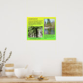 Poster Science, Chimie, solutions, environnement (Cuisine)