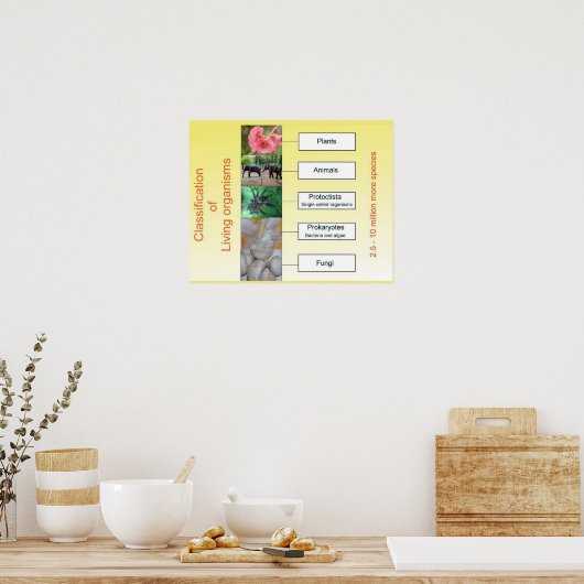 Poster Science, Classification des organismes vivants (Cuisine)