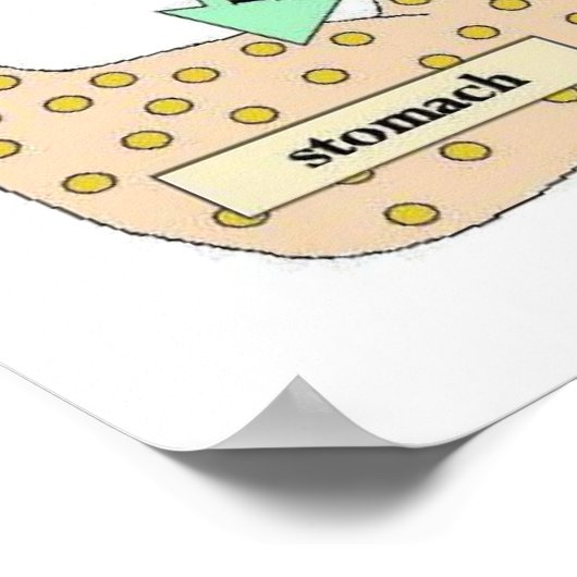 Poster Science, Corps humain, Digitation (Coin)