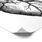 Poster Science de l'anatomie cardiaque (Coin)