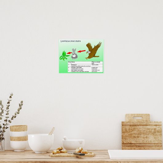 Poster Science, La chaîne alimentaire (Cuisine)