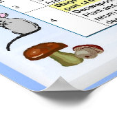 Poster Science, nutrition, Étapes de la chaîne alimentair (Coin)