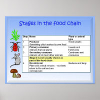 Science, nutrition, Étapes de la chaîne alimentair