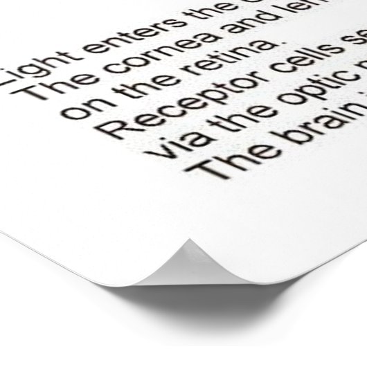 Poster Science, Sciences de la vie, L'oeil (Coin)