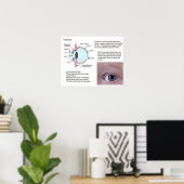 Poster Science, Sciences de la vie, L'oeil (Bureau à domicile)