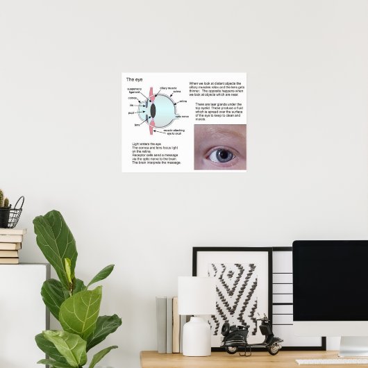 Poster Science, Sciences de la vie, L'oeil (Bureau à domicile)