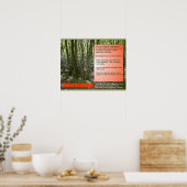 Poster Science Vie Science Déforestation (Cuisine)